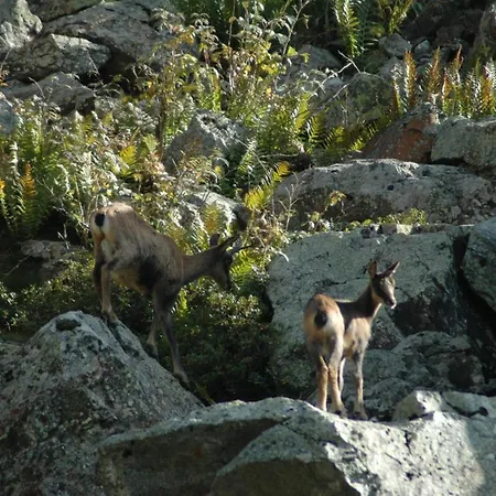 Le Chili- Quartier Thermal- Parc Remarquable - Linge Fourni Aparthotel 3*